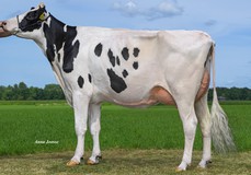 Drouner K&L Claxima 1706