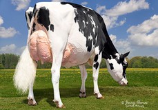 Duckett-Sa Braxtn Frisco EX-94