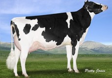 EDG Ruby Uno Riza EX-91 EDG Ruby Uno Riza EX-91