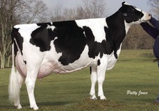 Ernest-Anthony SD Tobi EX-96