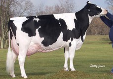 Ernest-Anthony SD Tobi EX-96 