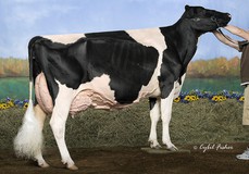 Ernest-Anthony Thriller EX-95 