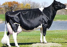 Ernest-Anthony Tyra EX-94