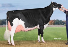 New Moore Esmeralda 38 2017 EX-93 New Moore Esmeralda 38 2017 EX-93