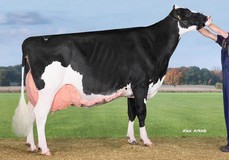 New Moore Esmeralda 38 2017 EX-93