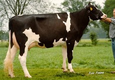 Etaregge Aspen Asha VG-86