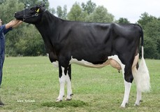 Etaregge Arroyo A Maribel RDC VG-87