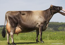 Evita EX-91