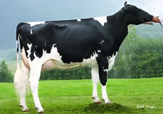 Farnear-TBR Bailey VG-87