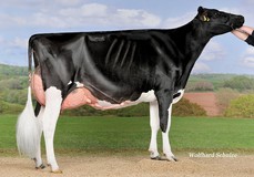 Galys-Vray EX-94 