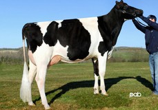 Gen-I-Beq Bolton Secretly RDC VG-87