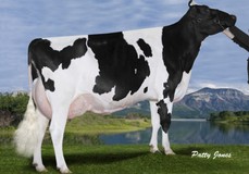 Gen-I-Beq Goldwyn Secret RC VG-87