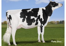 Gen-I-Beq Snowman Summer RDC VG-85