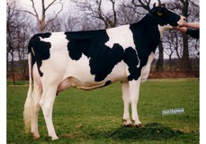Genua VG-87 Genua VG-87
