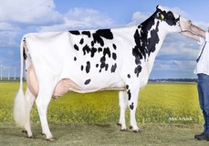 Giessen Cinderella 15 EX-91