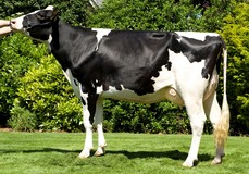 Giessen Cinderella 22 VG-85