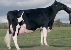 Glenn-Ann Durham Pepper EX-90