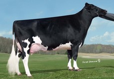 Glenn-Ann Shottle Pepper EX-90