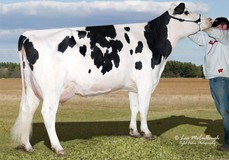 Glo-Crest O Man Pirate 4092 EX-90