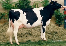 Grietje 80 EX-91