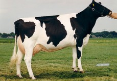 Grietje 80 EX-91 Grietje 80 EX-91