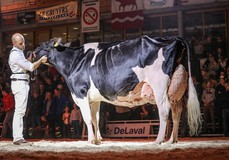 Hanna-Vray, Atwood x Corse EX-92