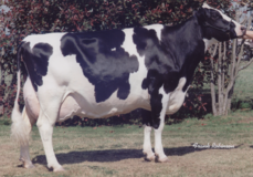 Hanover Hill Tony Rae EX-96 Hanover Hill Tony Rae EX-96