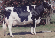 Hanover Hill Tony Rae EX-96