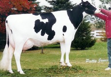 Hanover-Hill Raider Char EX-90