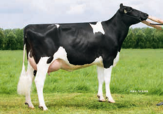 Hellmuth's Planet Lana VG-86