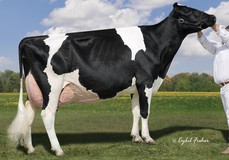 Lylehaven Lila Z EX-94