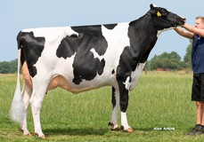 Holbra Malon 9 VG-88