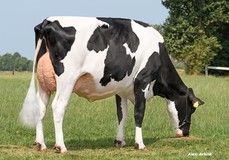 Holbra Malon 9 VG-88
