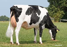 Holbra Malon 9 VG-88