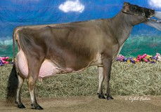 Huronia Centurion Veronica EX-97