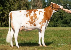 Isabella VG-86