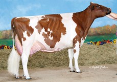 Jen-D Devil Tiffany-Red EX-95