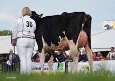 JK Eder DG Eliza VG-89 JK Eder DG Eliza VG-89