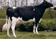 SH Jocko Jen VG-87