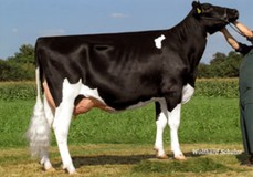 Joyline VG-87