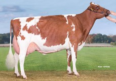 JU Lonia 167 Red EX-92