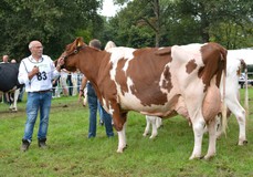 JU Lonia 167 Red EX-92