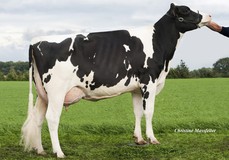 Wilder Kanu 111 RDC VG-88