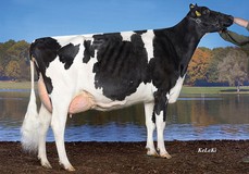 KHE Illinois VG-88