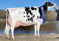 KHE Iowa EX-92, full sister to KHE Island VG-89