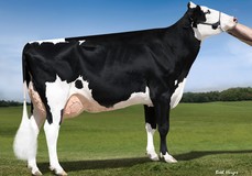 KHW Super Aderyn RC EX-90