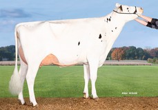 K&L OH Rozella VG-85