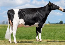 K&L Poppe Gonda VG-86