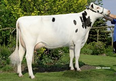 K&L Romina VG-87