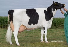 KNS Daybright EX-91